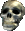 Zokarr's Skull