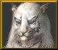 Felpurr