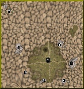 Mountain Wilderness Runes